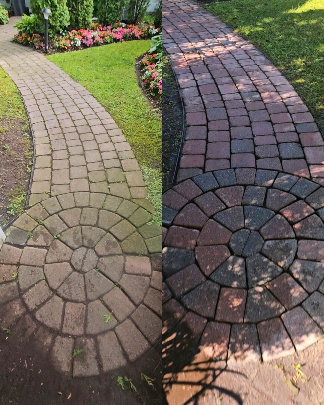 After — circular paver walkway restored to original red and brown colors with clean joints