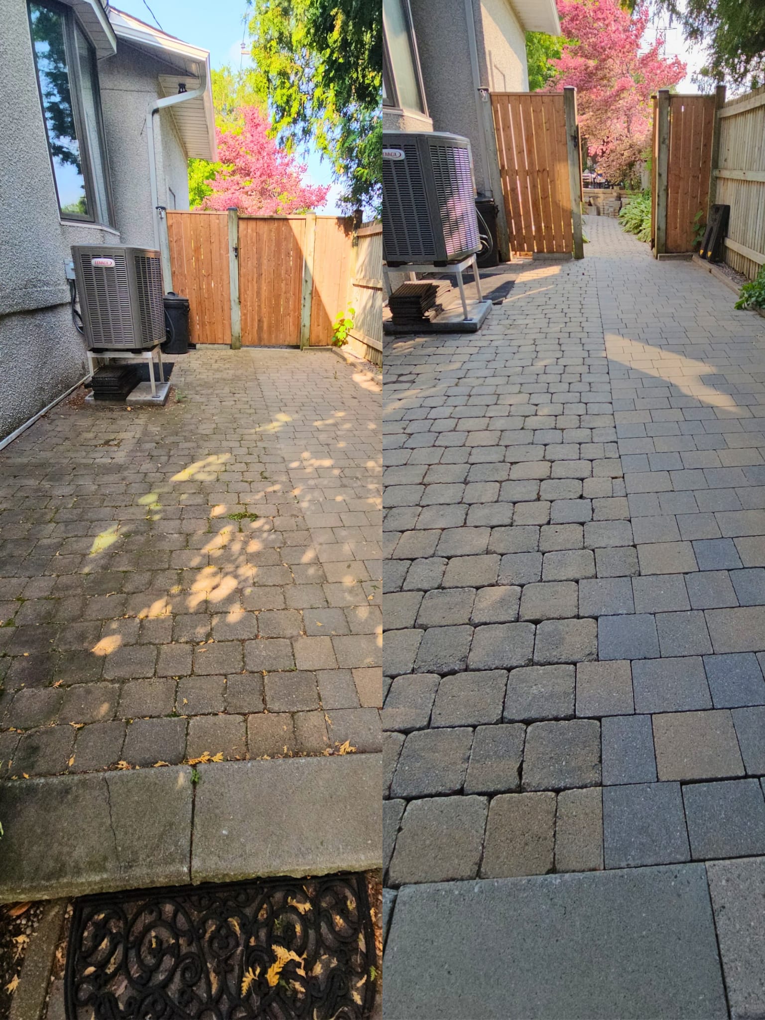 After — side yard cobblestone pavers cleaned to dark charcoal, no moss or weeds