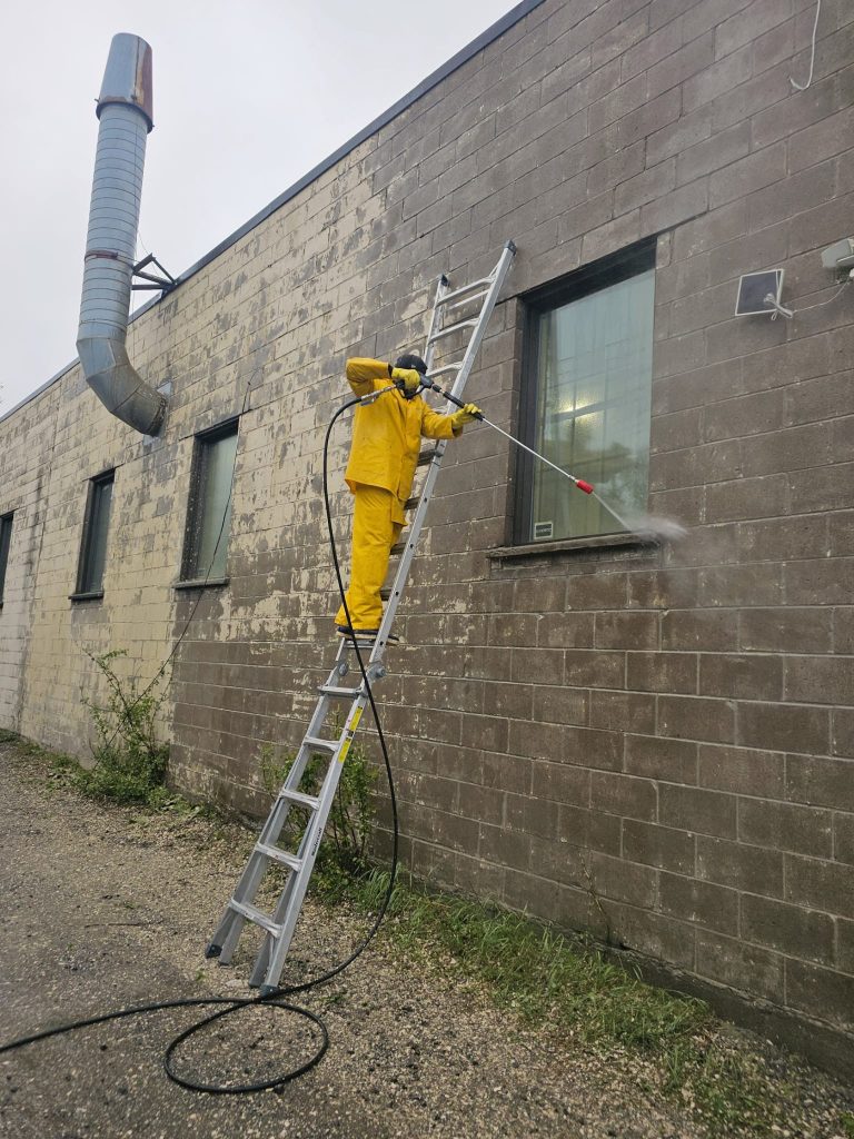 WhatsApp Image 2025-05-21 at 07.36.53_2c161cd5